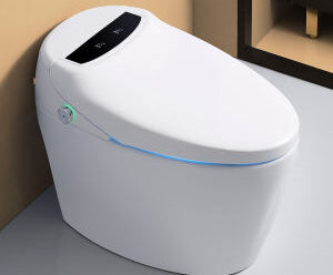 SOUTH KOREAN TOILET TURNS EXCREMENT INTO POWER AND DIGITAL CURRENCY