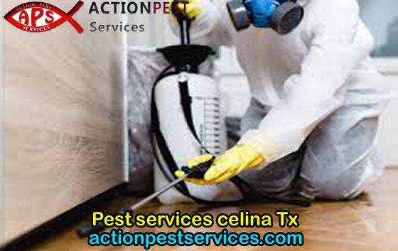 How to look for the best pest control company?
