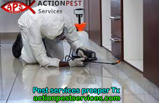 What are the different common services offered by the pest control company?