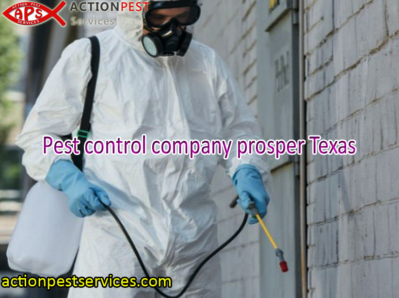 Hiring Pest Control Company Prosper Texas – 5 Tips To Consider