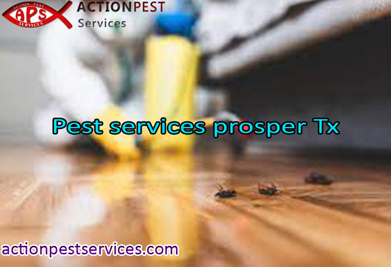 Importance Of Hiring Specialized Pest Services Prosper TX