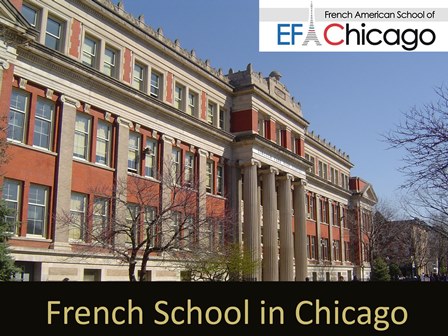 Sharpen Your Linguistic Skills With French Curriculum In Chicago