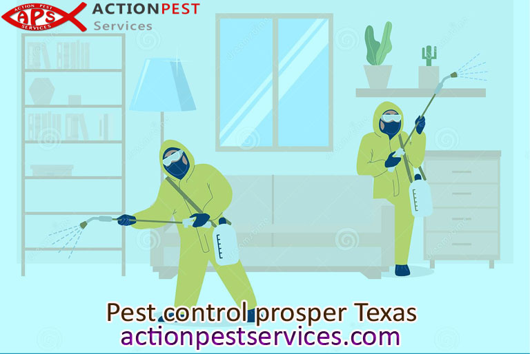 A Detailed Outline On Professional Pest Control Prosper Texas