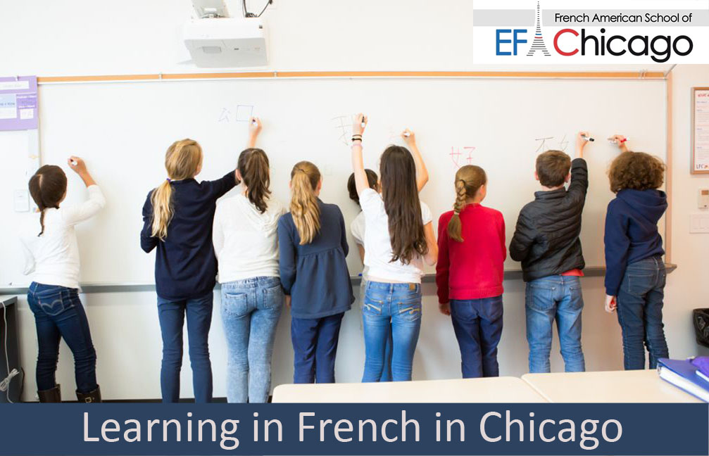 How Learning In French In Chicago Can Benefit You