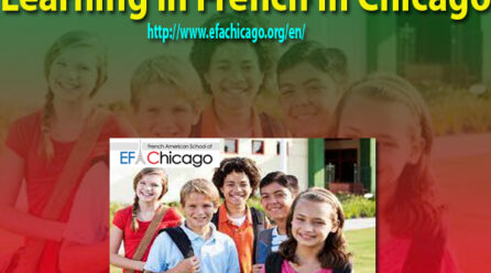 How do you learn French Online most easily?