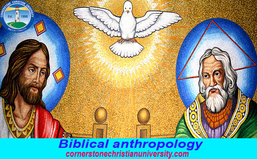 Christian PhD On Biblical Anthropology To Grasp Appropriate Expertise On Humanity From Christian Perspectives
