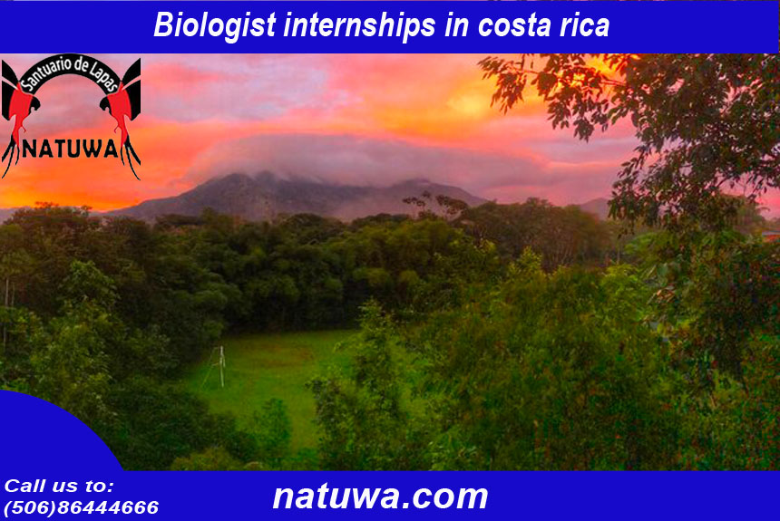 How to find an ideal biologist internship program in Costa Rica?