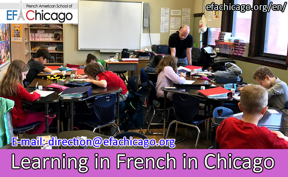 Understanding Major Perks Of Joining A French Curriculum In Chicago
