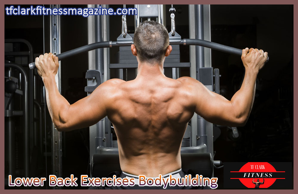 Lower Back Exercises Bodybuilding: How To Get A Solid Back Posture