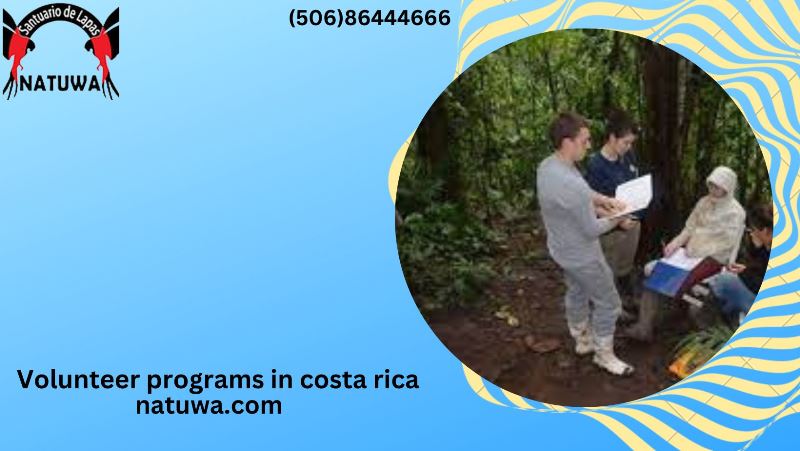 Why a Veterinarian Should Join a Veterinarian Internship with Wildlife in Costa Rica