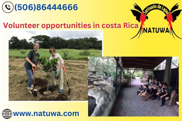 Make A Difference By Enrolling Into Wildlife Volunteer Opportunities In Costa Rica