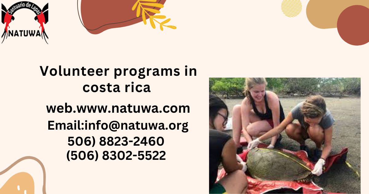 Enrolling As a Volunteer In Costa Rica With Animals: Dos & Don’ts You Must Know