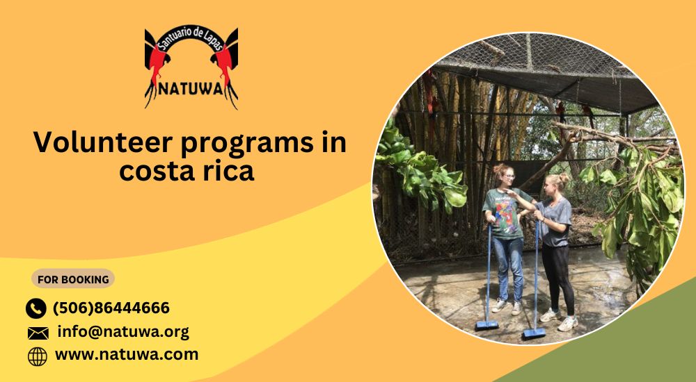 How Volunteer Program With Tapirs In Costa Rica Impacts Conservation Efforts