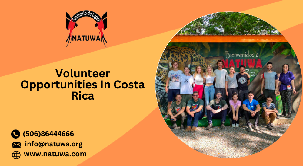Top 5 Reasons To Join Wildlife Volunteer Program In Costa Rica