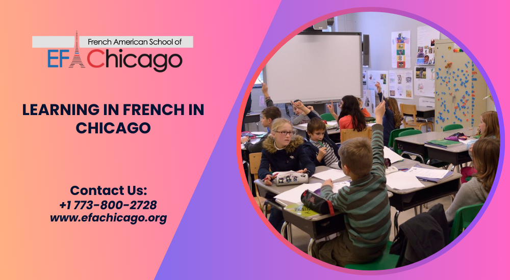 Expert Tips On How To Prepare For Certifications In French School In Chicago