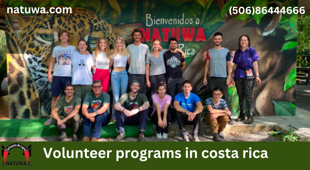 Exploring Volunteer Programs in Costa Rica: Making a Difference in Simple Ways