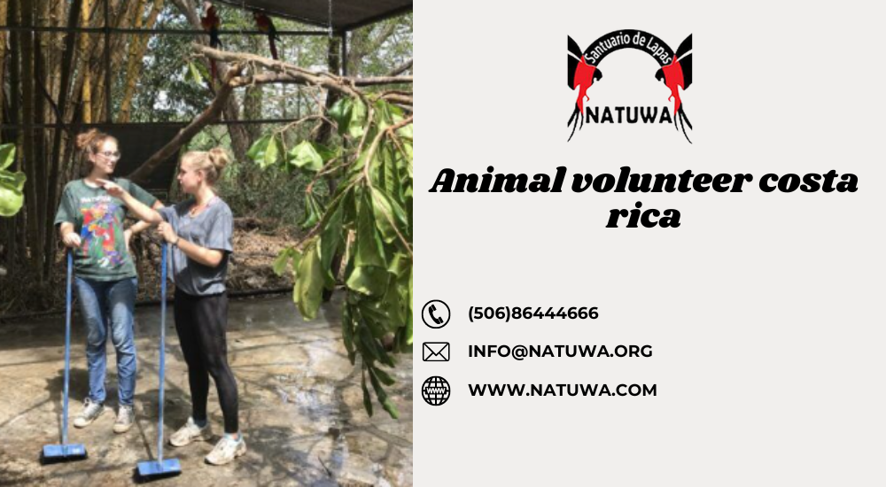 Embracing Wildlife: The Fulfilling Journey of Animal Volunteerism in Costa Rica