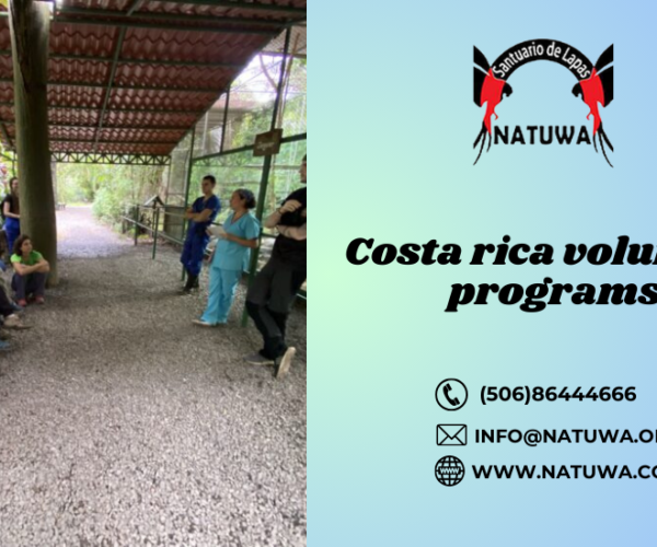 Making a Difference: Costa Rica Volunteer Programs and How You Can Get Involved