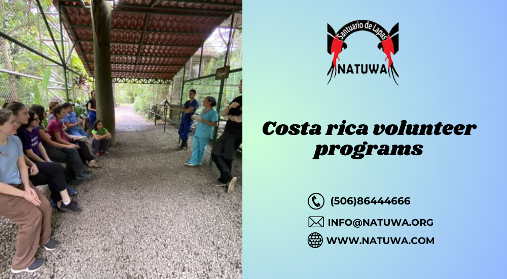 Making a Difference: Costa Rica Volunteer Programs and How You Can Get Involved