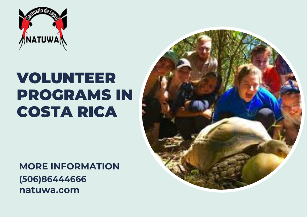 Exciting Wildlife Volunteering Options To Try