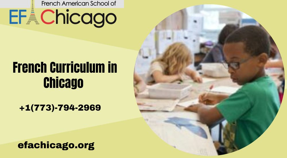 Understanding the French Curriculum: A Guide for Parents and Students