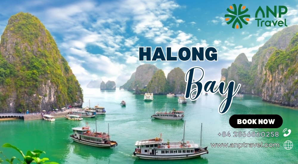 Halong Bay: A Natural Wonder of Vietnam
