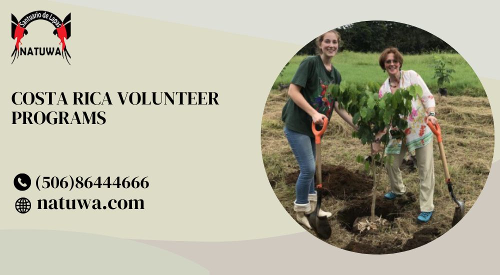 Costa Rica Volunteer Programs: Make a Difference While Exploring Paradise