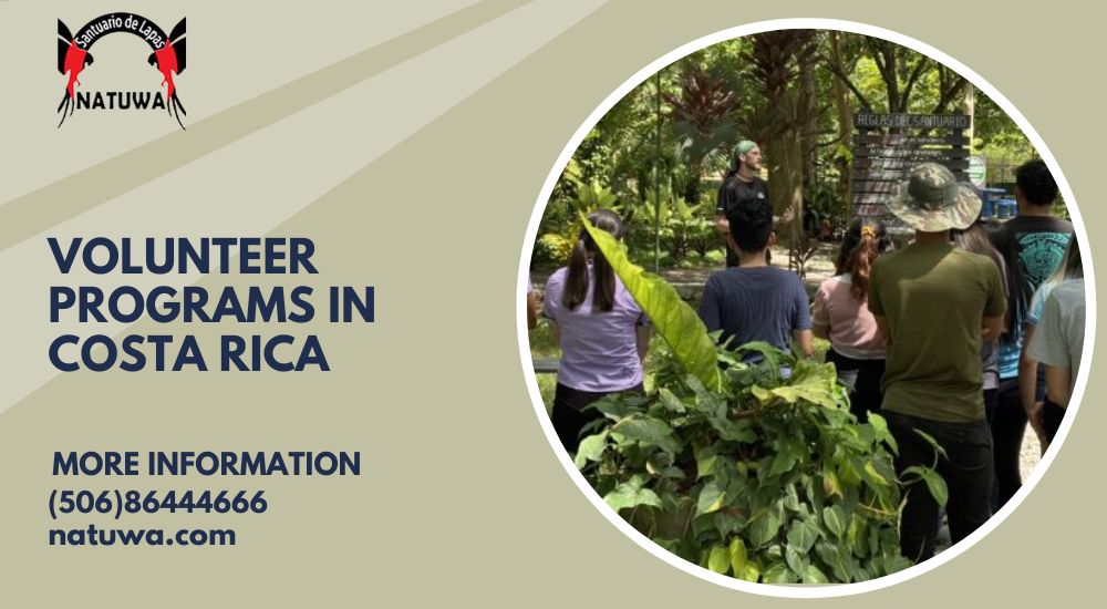 Give Back in Paradise: Discover the Best Volunteer Programs in Costa Rica