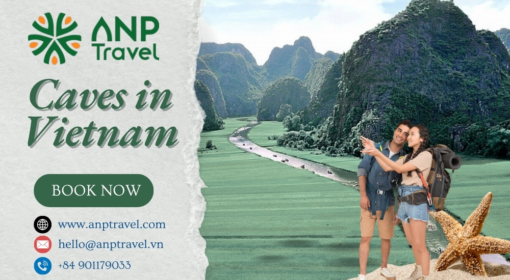 Exploring the Hidden World: Amazing Caves in Vietnam